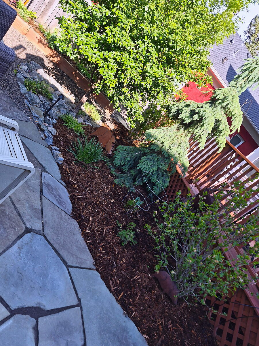 Shaded planting bed with shrubs and perennials by Brooks Landscape